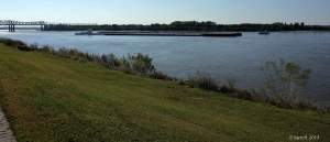 Wolf River, Memphis 2013